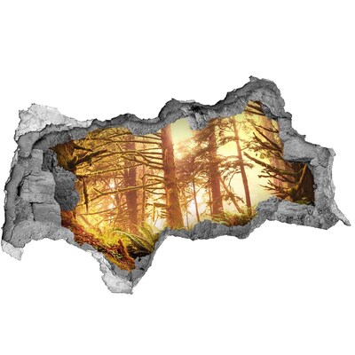 Vinilo efecto 3d pared rota irregular Un oasis forestal bajo el sol