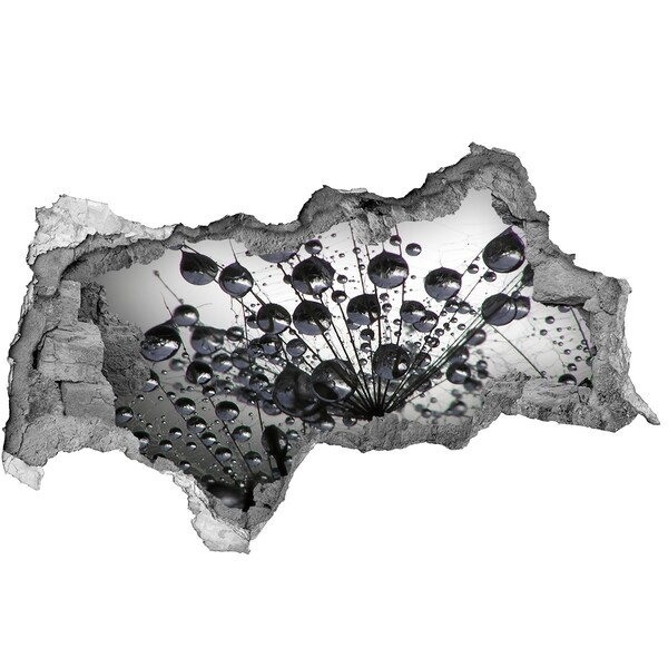 Pegatina decorativa agujero en la pared 3d Gotas de agua sobre un diente de león