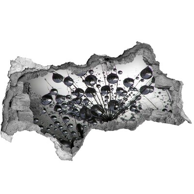 Pegatina decorativa agujero en la pared 3d Gotas de agua sobre un diente de león
