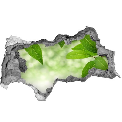 Pegatina decorativa agujero en la pared 3d Un oasis verde en hormigón