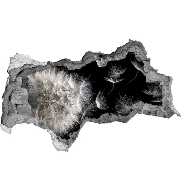 Pegatina decorativa agujero en la pared 3d Dientes de león en el espacio negro