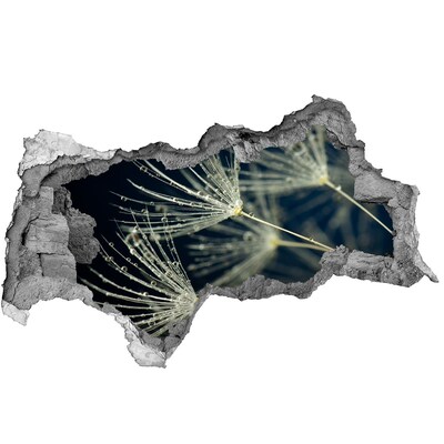 Vinilo efecto 3d pared rota irregular Flores de diente de león en el agua