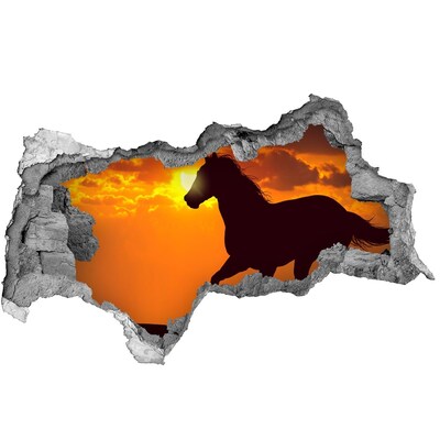 Dziura 3d fototapeta na ścianę Koń na zachodzie słońca