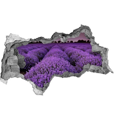 Fotomural autoadhesivo efecto agujero 3d Un campo de lavanda en plena floración.