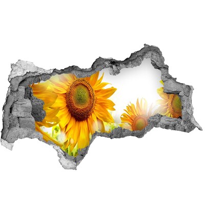 Fotomural autoadhesivo efecto agujero 3d Un sueño floral detrás de la pared.