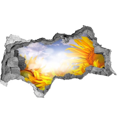 Samoprzylepna dziura naklejka Słoneczniki w świetle słońca