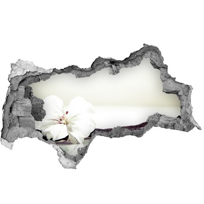 Vinilo efecto 3d pared rota irregular Vista floral a través de la pared.