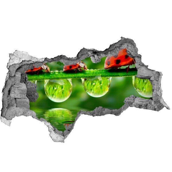 Vinilo adhesivo boquete en la pared rota Una gota de naturaleza con una mariquita