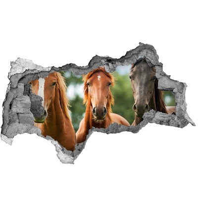 Fotomural autoadhesivo efecto agujero 3d Caballos en su hábitat natural