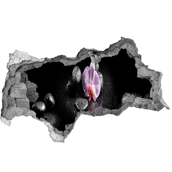 Fotomural autoadhesivo efecto agujero 3d Flor de orquídea rodeada de piedras.