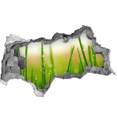 Samoprzylepna dziura na ścianę naklejka Zielona łąka z kroplami wody