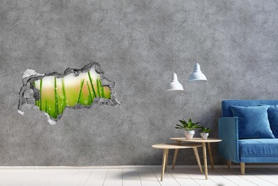 Pegatina decorativa agujero en la pared 3d Prado verde con gotas de agua