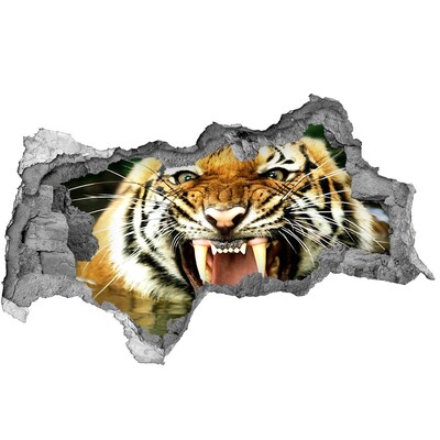 Fotomural autoadhesivo efecto agujero 3d Tigre en acción