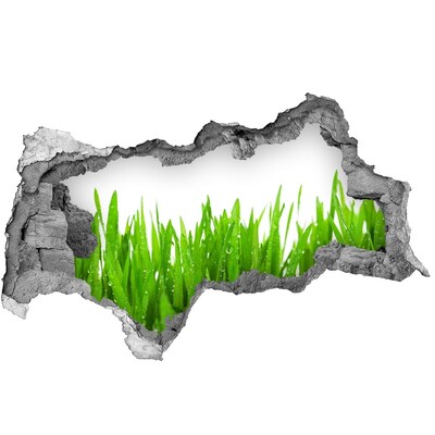 Vinilo adhesivo boquete en la pared rota Prado verde a través de un agujero en la pared.