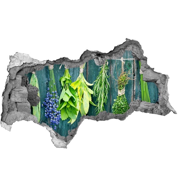 Vinilo efecto 3d pared rota irregular Jardín de hierbas en la cocina