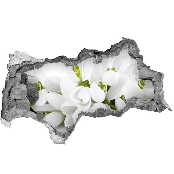 Fotomural autoadhesivo efecto agujero 3d Flores en hormigón