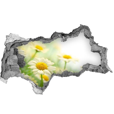 Pegatina decorativa agujero en la pared 3d Un paraíso de flores detrás del muro.