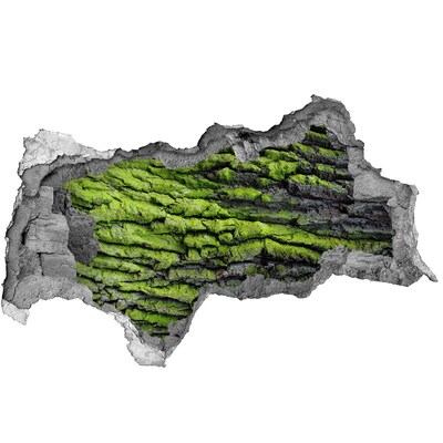 Vinilo adhesivo boquete en la pared rota Roca verde en el agujero