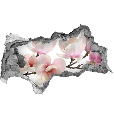 Samoprzylepna dziura naklejka Kwiaty magnolii przez dziurę w ścianie