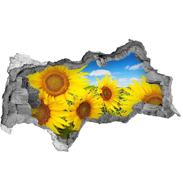 Pegatina decorativa agujero en la pared 3d Un paraíso de flores con girasoles.