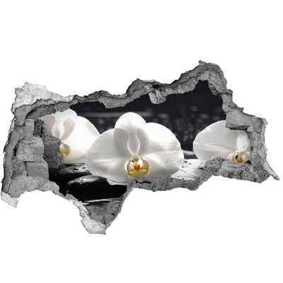Fotomural autoadhesivo efecto agujero 3d Flor de orquídea en el agua