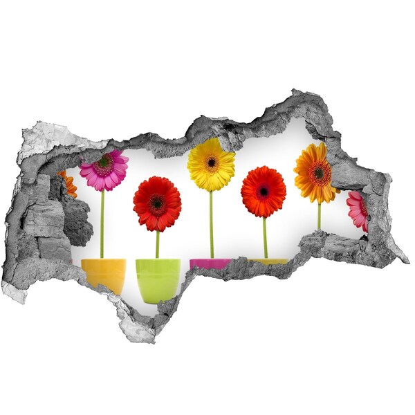 Fotomural autoadhesivo efecto agujero 3d Flores en macetas a través de un agujero en la pared.