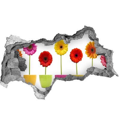 Fotomural autoadhesivo efecto agujero 3d Flores en macetas a través de un agujero en la pared.