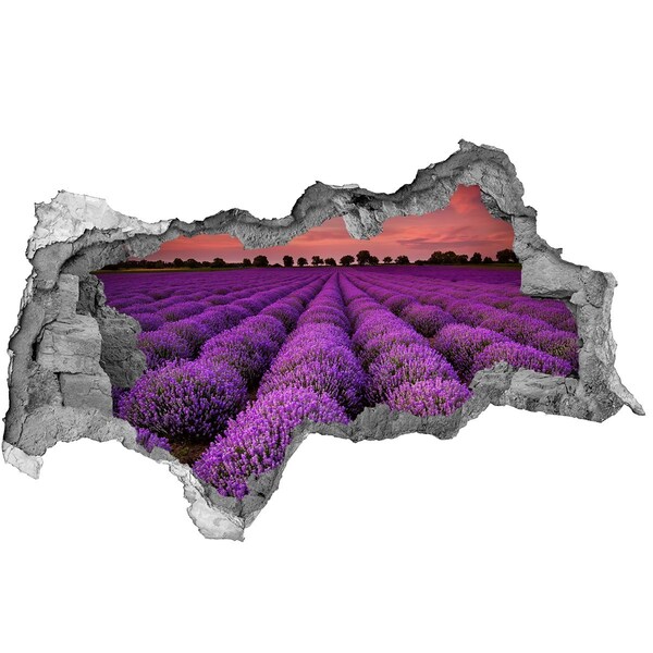 Vinilo efecto 3d pared rota irregular Campos de lavanda al atardecer