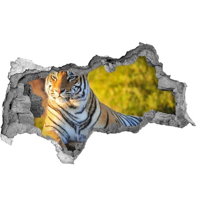Pegatina decorativa agujero en la pared 3d Tigre en su hábitat natural
