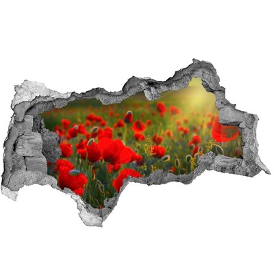 Pegatina decorativa agujero en la pared 3d Un paraíso floral escondido en la pared