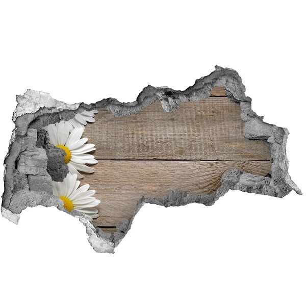 Vinilo adhesivo boquete en la pared rota Una pared dañada con un fondo de madera.