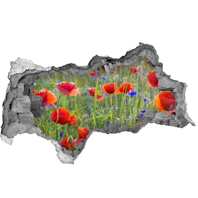 Vinilo efecto 3d pared rota irregular Un paraíso de flores detrás del muro.