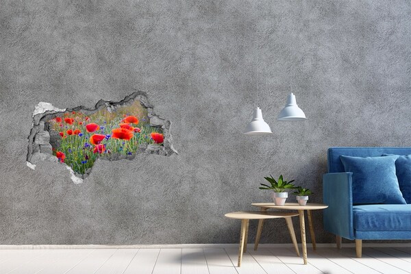 Fotomural autoadhesivo efecto agujero 3d Campo de flores de un agujero en la pared