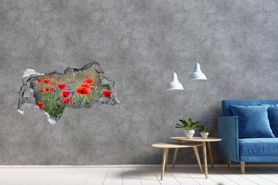 Fotomural autoadhesivo efecto agujero 3d Campo de flores de un agujero en la pared