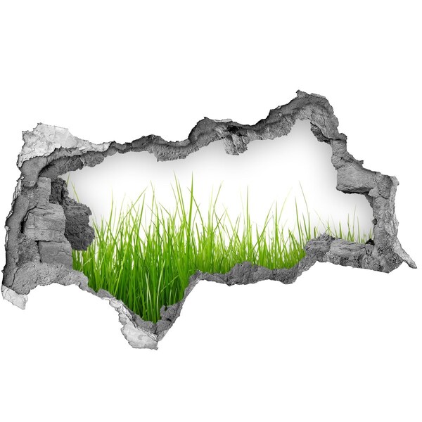 Vinilo efecto 3d pared rota irregular Un prado verde detrás del muro.