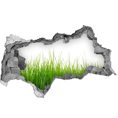 Vinilo efecto 3d pared rota irregular Un prado verde detrás del muro.