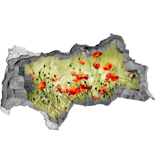 Pegatina decorativa agujero en la pared 3d Un paraíso floral entre las amapolas