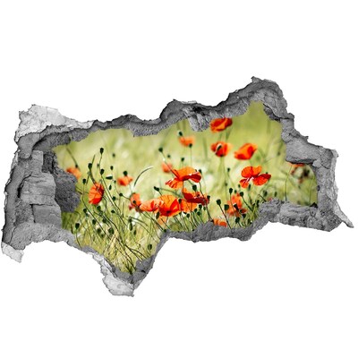 Pegatina decorativa agujero en la pared 3d Un paraíso floral entre las amapolas