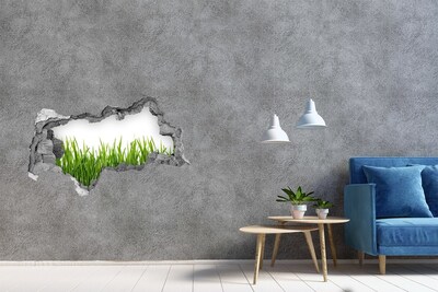 Vinilo adhesivo boquete en la pared rota Un prado verde detrás del muro.