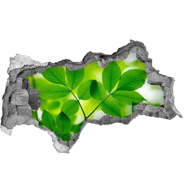 Pegatina decorativa agujero en la pared 3d Un oasis verde en hormigón