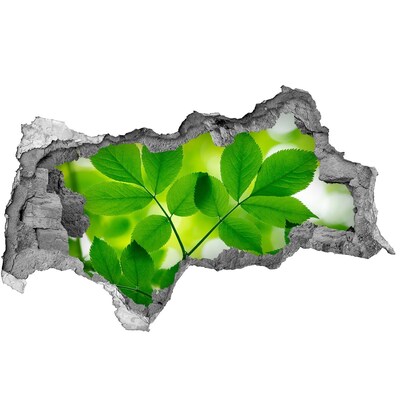 Pegatina decorativa agujero en la pared 3d Un oasis verde en hormigón