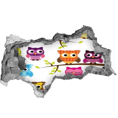 Fotomural autoadhesivo efecto agujero 3d Búhos coloridos en una rama