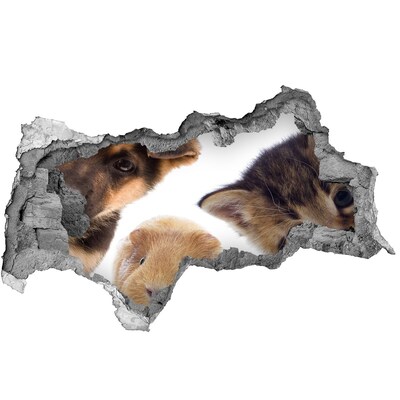 Dziura 3d fototapeta naklejka Zwierzęta zza ściany