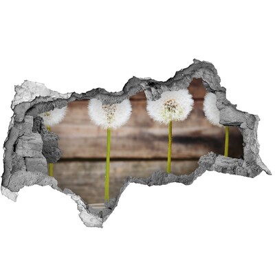 Pegatina decorativa agujero en la pared 3d Flores de diente de león en ruinas