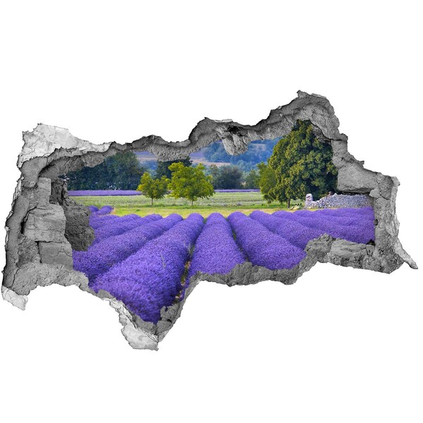 naklejka fototapeta 3D widok Lawendowe pola w Provence