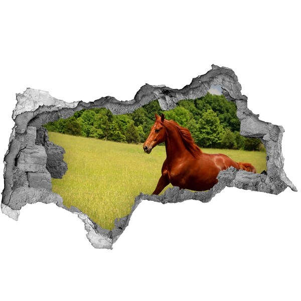 Fotomural autoadhesivo efecto agujero 3d Caballo al galope en un prado pintoresco