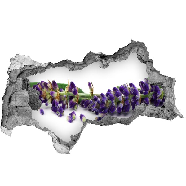 Pegatina decorativa agujero en la pared 3d Flor de lavanda a través de un agujero en la pared.