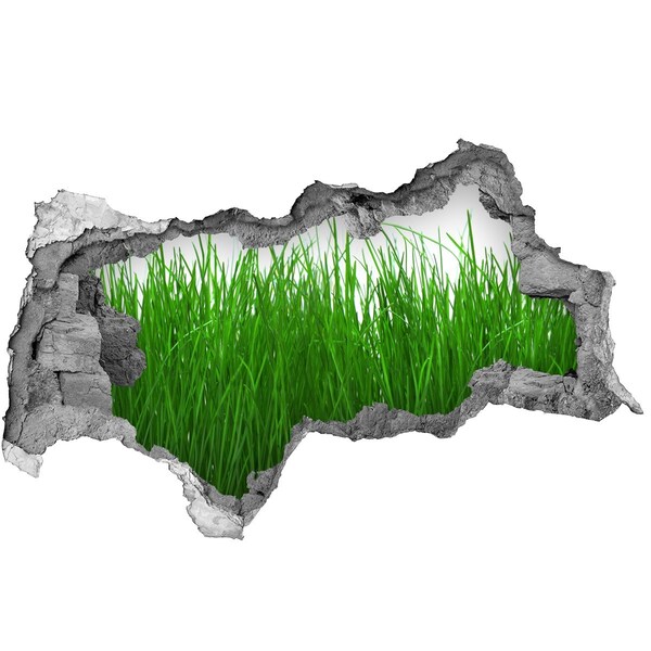 Samoprzylepna dziura na ścianę naklejka Zielona łąka przez dziurę w ścianie