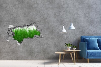 Fotomural autoadhesivo efecto agujero 3d Prado verde a través de un agujero en la pared.