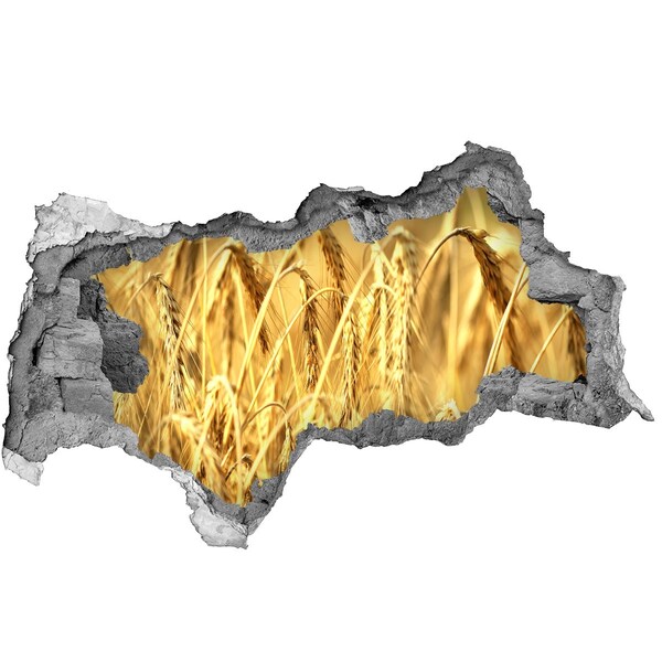 Fotomural autoadhesivo efecto agujero 3d Granos dorados bajo el sol